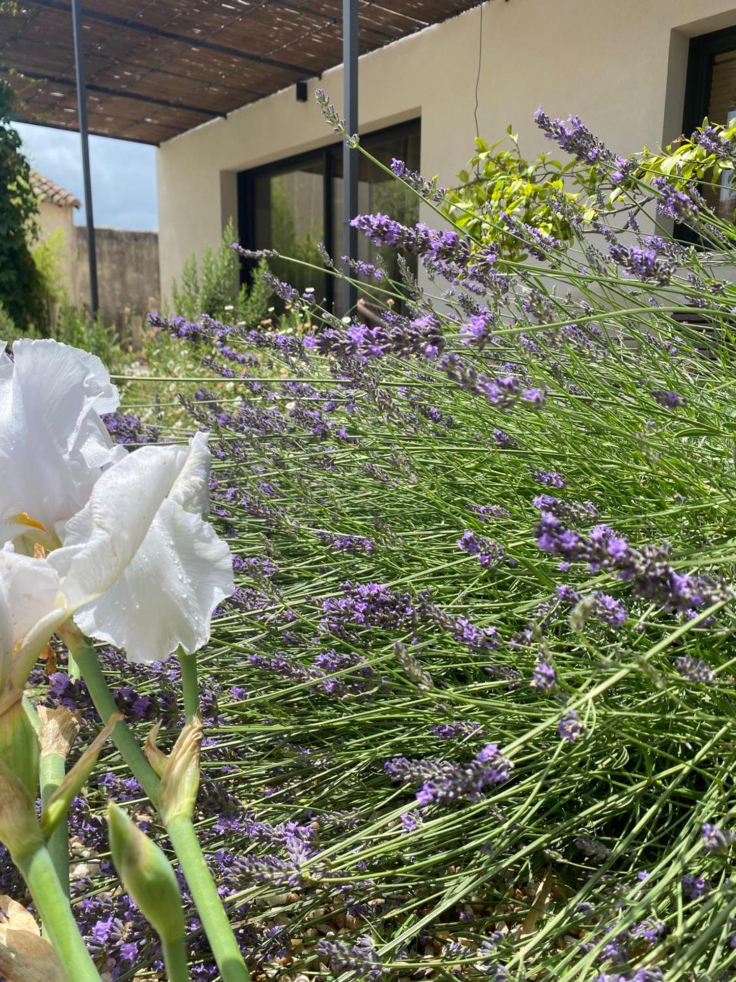 Hébergement de vacances Maison Plume En Provence *