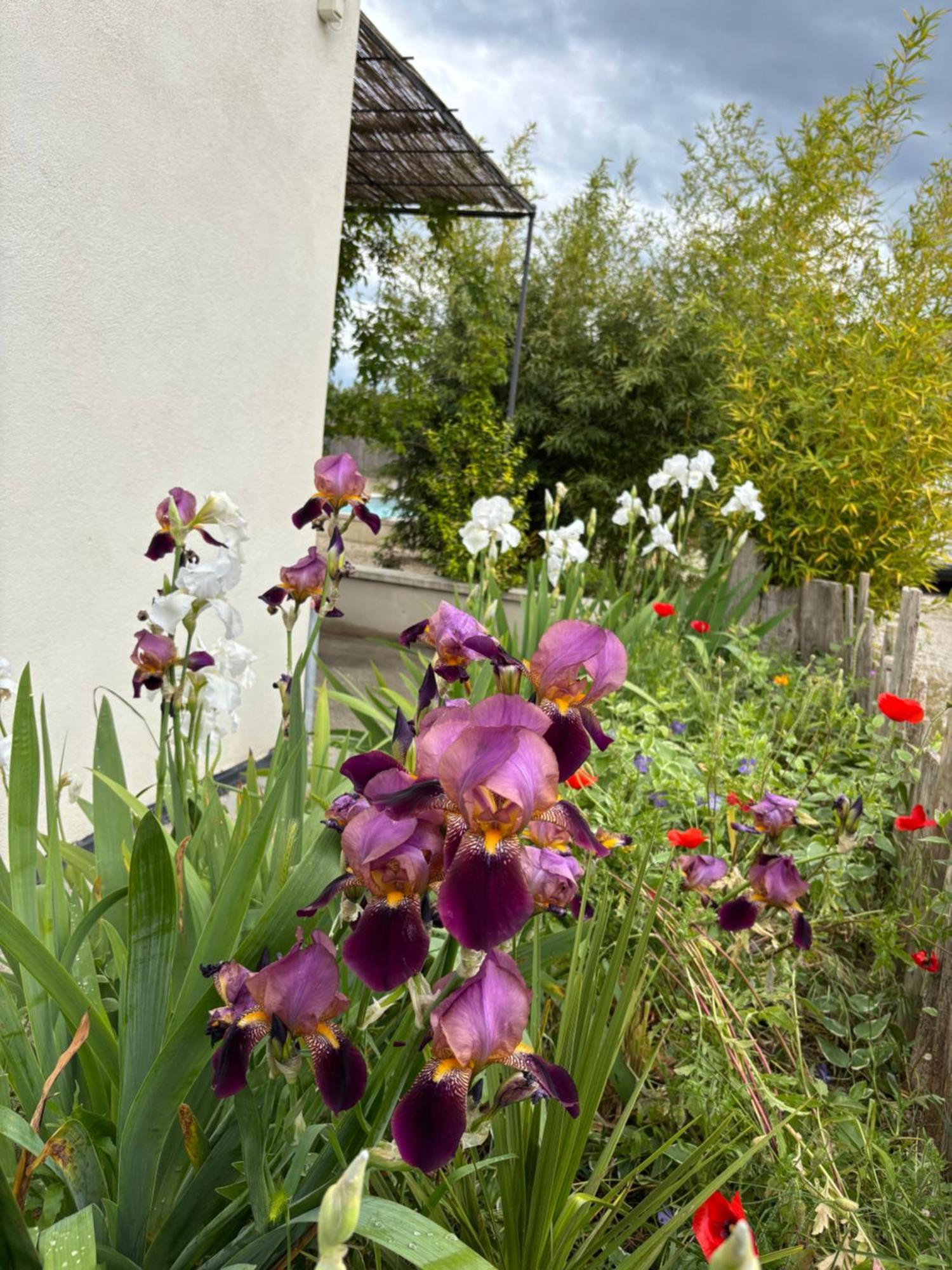 Maison Plume En Provence Hébergement de vacances LʼIsle-sur-la-Sorgue